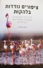 עטיפת הספר ציפורים נודדות בלהקות