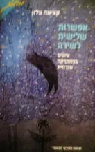 עטיפת הספר אפשרות שלישית לשירה עיונים בפואטיקה מזרחית