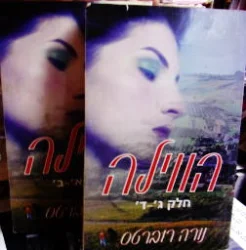 עטיפת הספר הווילה-2 כרכים