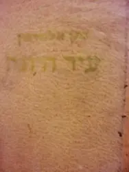 עטיפת הספר עיר היונה-מהדורה ראשונה