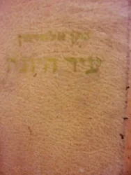 עטיפת הספר עיר היונה-מהדורה ראשונה