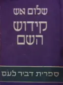 עטיפת הספר קידוש השם