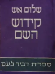 עטיפת הספר קידוש השם