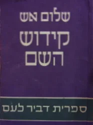 עטיפת הספר קידוש השם