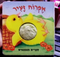 עטיפת הספר ספרים מצפצפים אפרוח זעיר