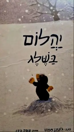 עטיפת הספר יהלום בשלג