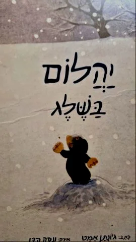 עטיפת הספר יהלום בשלג