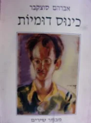 עטיפת הספר כינוס דומיות