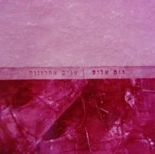 עטיפת הספר רות שלוס שנים אחרונות