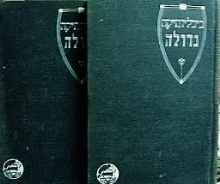 עטיפת הספר ביבליותיקה גדולה דמדומים שירים-2 כרכים