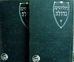עטיפת הספר ביבליותיקה גדולה כתבים אחרונים-2 כרכים