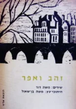 עטיפת הספר זהב ואפר