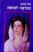 עטיפת הספר כמראה לטושה-חתום