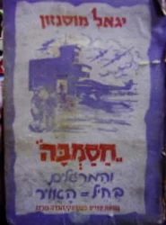 עטיפת הספר חסמבה והמרגלים בחיל האויר 10