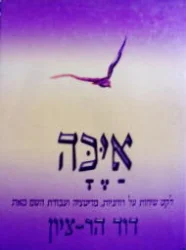 עטיפת הספר איכה