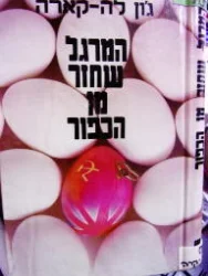 עטיפת הספר המרגל שחזר מן הכפור