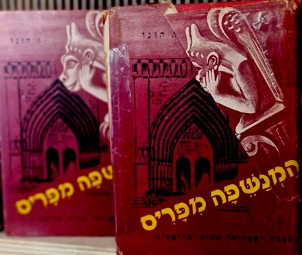 עטיפת הספר המכשפה מפריס-2 כרכים