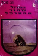 עטיפת הספר המרגל שחזר מהערפל