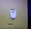 עטיפת הספר החצר האחורית של הציבוריות