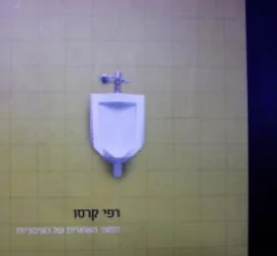 עטיפת הספר החצר האחורית של הציבוריות