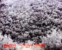 עטיפת הספר יצחק דנציגר מקום