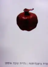 עטיפת הספר עפרה צימבליסטה כחליל הרימון-חתום