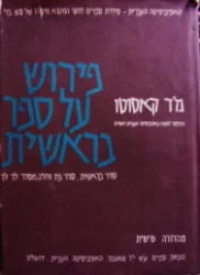 עטיפת הספר פירוש על ספר בראשית-שני ספרים בכרך אחד