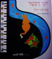 עטיפת הספר איך שיר נולד ספר מנגן