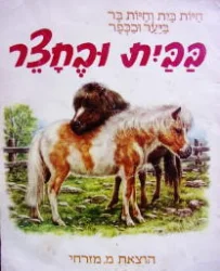 עטיפת הספר בבית ובחצר