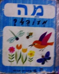 עטיפת הספר מה מעופף
