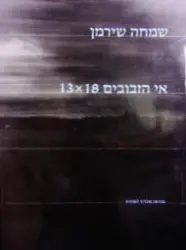 עטיפת הספר שמחה שירמן אי הזבובים 13x18