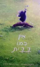 עטיפת הספר אין כמו בבית