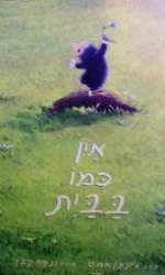 עטיפת הספר אין כמו בבית