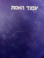עטיפת הספר עמוד האמת