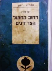 עטיפת הספר רחוב החתול הצד דגים