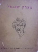 עטיפת הספר העיירה היהודית בציורי מארק שאגאל