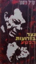 עטיפת הספר נער בזרועות הפשע