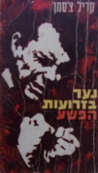 עטיפת הספר נער בזרועות הפשע