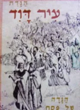 עטיפת הספר הגדת עיר דוד הגדה של פסח