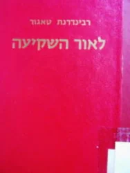 עטיפת הספר לאור השקיעה