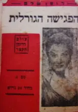 עטיפת הספר הפגישה הגורלית