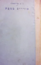 עטיפת הספר אור יום בשבת