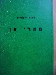 עטיפת הספר מארי אן