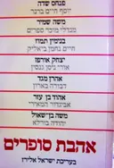 עטיפת הספר אהבת סופרים