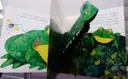 עטיפת הספר הצפרדע עם הפה הגדול- ספר פופאפ