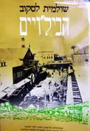 עטיפת הספר הבילויים