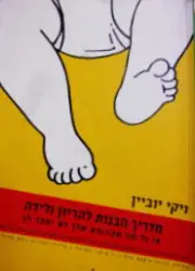 עטיפת הספר מדריך הבנות להריון ולידה