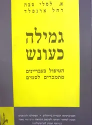 עטיפת הספר גמילה כעונש הטיפול בעבריינים מתמכרים לסמים