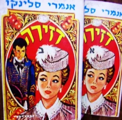 עטיפת הספר דזירה-2 כרכים