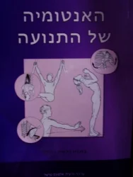 עטיפת הספר האנטומיה של התנועה